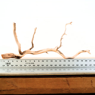 Manzanita Driftwood