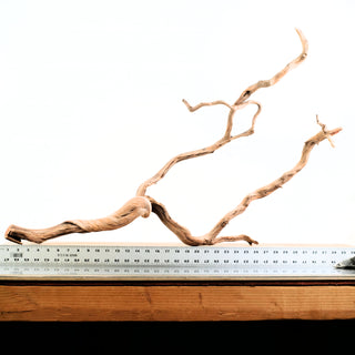 Manzanita Driftwood