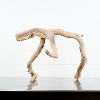 Manzanita Driftwood 19.5" individually photographed showing sculptural natural curves and smooth grain manzanita for pets aquarium terrarium