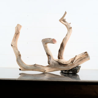 Manzanita Driftwood 19.5" individually photographed with natural twisted limbs and smooth grain manzanita for pets aquarium terrarium