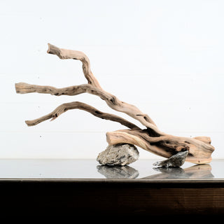 Manzanita Driftwood 29.5" individually photographed with flowing sculptural limbs and natural weathered grain manzanita for pets aquarium terrarium