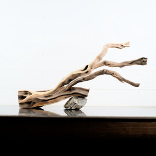 Manzanita Driftwood 29.5" individually photographed with flowing limbs and natural weathered grain manzanita for pets aquarium terrarium