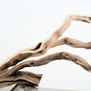 Manzanita Driftwood 29.5" individually photographed with smooth flowing limbs and natural grain manzanita for pets aquarium terrarium