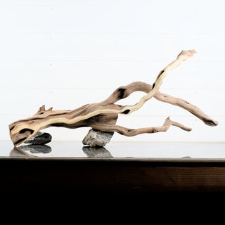 Manzanita Driftwood 29.5" individually photographed with intricate natural flowing limbs and smooth grain manzanita for pets