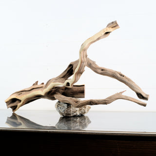 Manzanita Driftwood 29.5" individually photographed with flowing twisted limbs and natural textured grain manzanita for pets aquarium terrarium