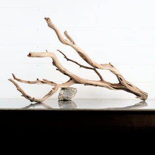 Manzanita Driftwood 33.5" individually photographed showing smooth twisted limbs and natural grain manzanita for pets aquarium terrarium