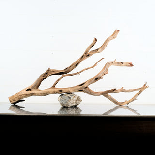 Manzanita Driftwood 33.5" individually photographed with flowing sculptural limbs and natural grain manzanita for pets aquarium terrarium