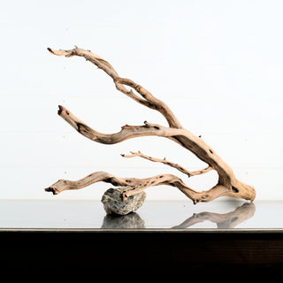 Manzanita Driftwood 33.5" individually photographed with delicate twisted limbs and smooth pale wood manzanita for pets