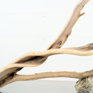 Manzanita Driftwood 35 individually photographed highlighting smooth flowing limbs and pale manzanita for pets aquarium terrarium
