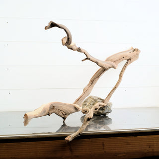 Manzanita Driftwood 35 individually photographed with sculptural curved limbs and textured manzanita for pets aquarium terrarium