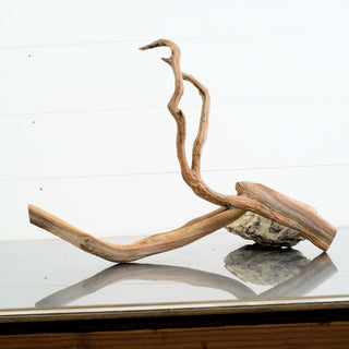 Manzanita Driftwood 16.5" individually photographed with natural twisted limbs and textured grain manzanita for pets aquarium terrarium