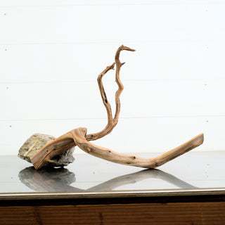 Manzanita Driftwood 16.5" individually photographed with twisted natural limbs and smooth grain manzanita for pets aquarium terrarium