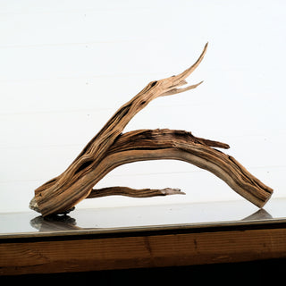 Manzanita Driftwood 28.5" individually photographed with flowing natural grain and unique shapes manzanita for pets aquarium terrarium