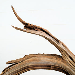 Manzanita Driftwood 28.5" individually photographed showing elongated flowing limbs and rich natural texture manzanita for pets