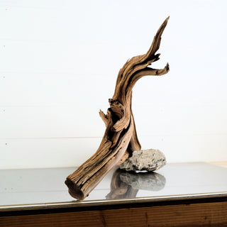 Manzanita Driftwood 28.5" individually photographed with twisted natural curves and rich texture manzanita for pets