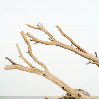 Manzanita Driftwood 36.5"