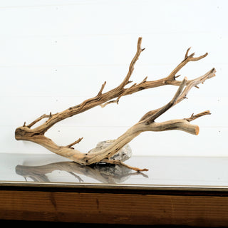 Manzanita Driftwood 36.5"