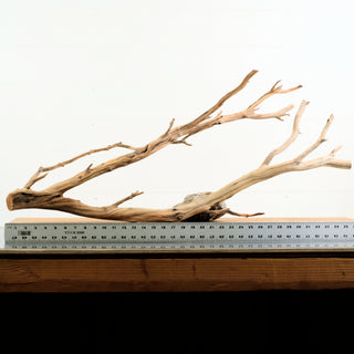 Manzanita Driftwood 36.5"