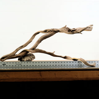 Manzanita Driftwood 35" individually photographed with slender flowing limbs and natural grain manzanita for pets aquarium terrarium
