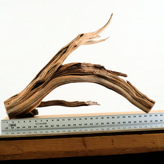 Manzanita Driftwood 28.5" individually photographed showcasing natural flowing shapes and textured grain manzanita for pets aquarium terrarium