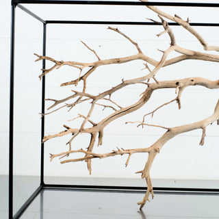 Manzanita Driftwood