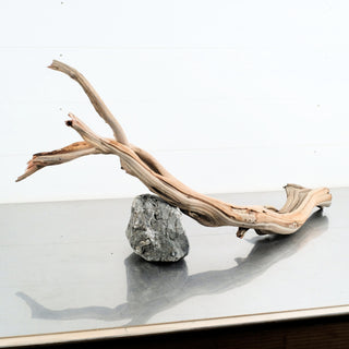 Manzanita Driftwood