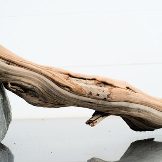 Manzanita Driftwood