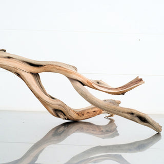 Manzanita Driftwood