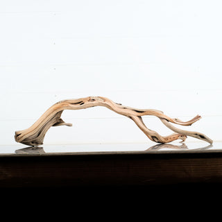 Manzanita Driftwood