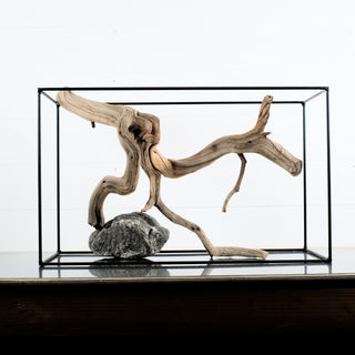 Manzanita Driftwood