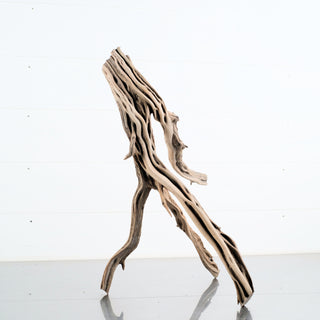 Manzanita Driftwood