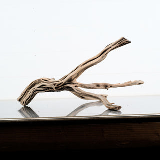 Manzanita Driftwood