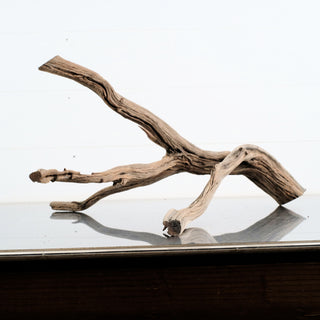 Manzanita Driftwood