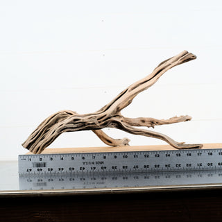 Manzanita Driftwood