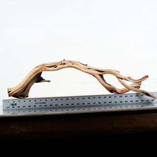 Manzanita Driftwood