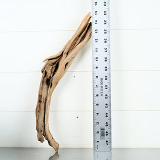 Micro Manzanita Driftwood