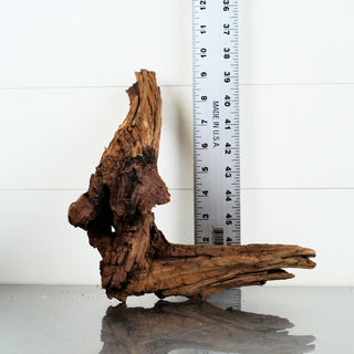 Micro Manzanita Driftwood