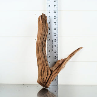 Micro Manzanita Driftwood