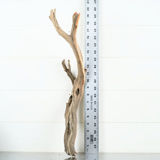 Micro Manzanita Driftwood