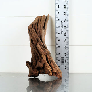 Micro Manzanita Driftwood