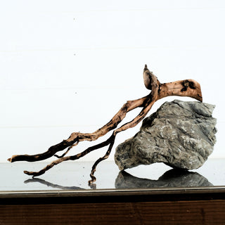 Manzanita Driftwood 21"