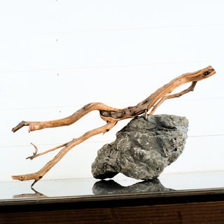 Manzanita Driftwood 24"