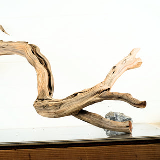 Manzanita Driftwood 47 individually photographed with natural weathered wood and flowing branches manzanita for pets aquarium terrarium
