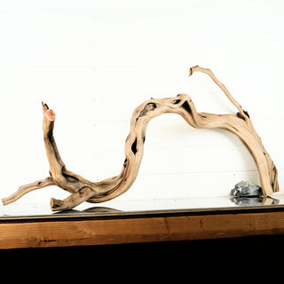 Manzanita Driftwood 47 individually photographed with natural flowing curves and textured grain manzanita for pets aquarium terrarium