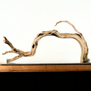 Manzanita Driftwood 47"