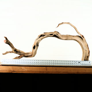 Manzanita Driftwood 47 individually photographed with arching natural wood grain and textured branches manzanita for pets