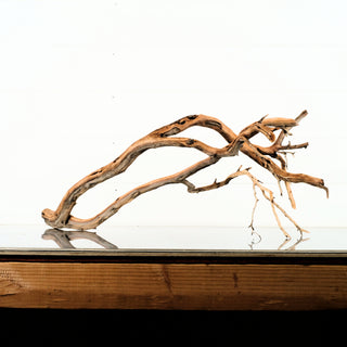 Manzanita Driftwood 26"