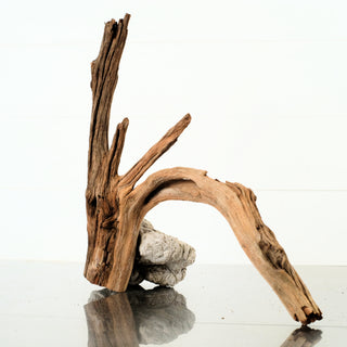 Manzanita Driftwood