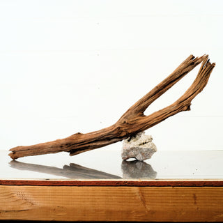 Manzanita Driftwood
