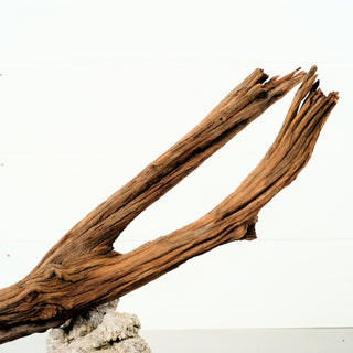 Manzanita Driftwood